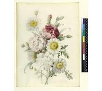 ZHAOSHAN De Célèbres Tableaux Paysage Toile Affiche Affiche De Arts Bouquet d'oeillets mixtes et de soucis blancs par Pierre Redouté Impression Peinture Huile Pour la Décoration Murale 60x90cm