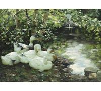 ZHAOSHAN De Célèbres Tableaux Paysage Toile Affiche Affiche De Arts Cinq canards sur la rivière Stony Shore par Alexander Koester Impression Peinture Huile Pour la Décoration Murale 60x90cm