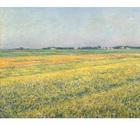 ZHAOSHAN Imprimer Affiche Toile Avec Image la plaine de Gennevilliers champs jaunes la plaine de Gennevilliers champs jaunes par Gustave Caillebotte Pour la Décoration de Bureau 60x90cm