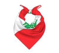 ZHAOUR Bandana imprimé drapeau du Liban pour femmes et hommes - Foulard tendance polyvalent - Écharpe en satin respirant, Drapeau du Liban, 22"x22"