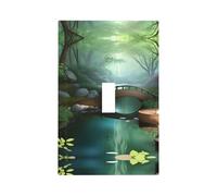 ZhaoYuGoods Couvercles décoratifs pour interrupteur, Little Bridge in The East, plaques murales durables, plaque murale électrique, 12,5 x 8 cm