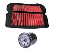 ZHAUPMCB Haute perméabilité Filtre d'admission d'air Convient pour Honda GL1500 Gold Wing GL1500A GL1500I GL1500SE Black Widow 1988-2000(1 Set)
