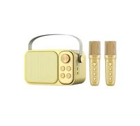 Zhdbchyuu Bluetooth Karaoke Machine Portable Speaker System with 2 Wireless Microphones Home Family Singing Children's Gifts