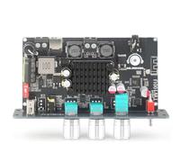 Zhdbchyuu TW100U 100W Mono Amplifier Board, TPA3116D2 Digital Power Amp Module with Built-in Step-Up Voltage Circuit (19V/24V)