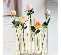 ZHDOKA Lot de 5 Vases à éprouvette avec Support en Fer, Vase à Fleurs Géométrique en Métal, Vase à Plantes de Propagation à Charnière en Verre, Support de Plante de Station de Propagation(Or)