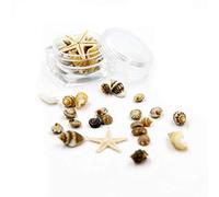 ZHENBYR Mélange de coquillages de plage - Étoile de mer naturelle - Grande conque pour coquillages, étoiles de mer colorées - Pour fête sur la plage - Poisson pour Ta
