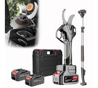 zhenmaster Sécateur Motorisé Sans Fil 21V - Lame SK5 Haute Qualité pour Taille Précise - Manche Télescopique, Batterie Double, Écran LCD, Utilisation Professionnelle(Withpole)