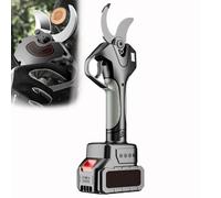 zhenmaster Sécateur Sans Fil Professionnel SK5 - Taille Branches jusqu’à 78mm - Pour Verger, Jardin, Vigne - Extension 2.1m, Affichage LCD, Double Batterie, Kit Complet(Withoutpole)