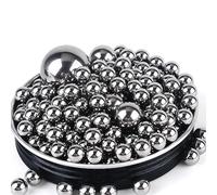 ZHGUIMING 304 Stainless Steel Beads Ball High Precision Bearings Roller Smooth Solid 440C/316 Ammo Dia 0.5mm 1mm~30mm(5.55mm (200Pcs))