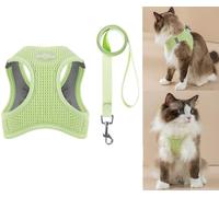 ZHHSUNY Ensemble Harnais pour Chat Anti évasion, Harnais Ajustable pour Chaton avec Bande Réfléchissante, Filet Respirant, Gilet de Sécurité Souple pour Chat (Vert, S)