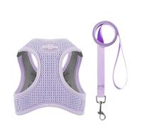ZHHSUNY Ensemble Harnais pour Chat Anti évasion, Harnais Ajustable pour Chaton avec Bande Réfléchissante, Filet Respirant, Gilet de Sécurité Souple pour Chat (La Couleur Violette, S)