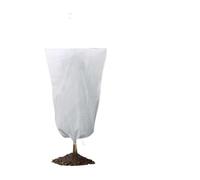 Zhiaek Housse d'hivernage pour Plantes Exterieur avec Cordon de Serrage et Zipper Housse de Protection Voile Hivernage Citronnier Plantes Blanc 2x2.4M 1PCS