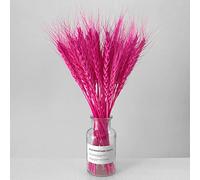 zhibang éPis De Blé SéChéS,Gerbes De Blé SéChéEs,Fait De Blé Naturel éPis De Blé, pour DéCoration De Maison, HôTel, Mariage (Rose)