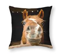 Zhimahou Housses de coussin, 55 x 55 cm, motif cheval rigolo qui me regarde, coussins de chaise, coussins de canapé, taies d'oreiller de lit, coussins de lit
