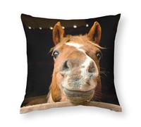 Zhimahou Housses de coussin de 30 x 30 cm, motif cheval rigolo qui me regarde, coussins de chaise, coussins de canapé, housses de coussin de siège, taies d'oreiller de lit