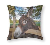 Zhimahou Housses de coussin de 60 x 60 cm - Champ d'âne nez qui regarde la tête au-dessus de la clôture, coussins de chaise, coussins de canapé, taies d'oreiller de siège, coussins de lit