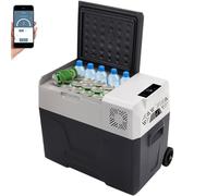 ZHIMAI Réfrigérateur de voiture 50 l - Glacière à compresseur - Glacière de voyage - Mini réfrigérateur - Glacière pour la voiture et avec raccordement au réseau - Acier inoxydable - Classe