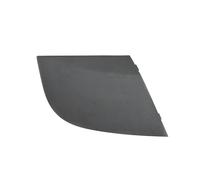ZHINUAN Garniture de capot latéral de pare-brise avant, Convient for Mercedes-Benz Classe B W245 2005-2011, panneau déflecteur d'eau Couvercle latéral d'essuie-glace de véhicule(1 PCS Right R)