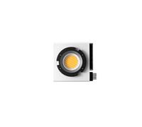 Zhiyun Torche de poche MOLUS G60 bicolore Blanc et Noir
