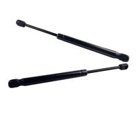 ZHjLut 2 Vérins À Gaz pour Hayon Arrière Compatible avec pour Peugeot 407 SW 2004-2010 Break 8731J6 9647487680