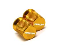Zhjuan Bouchons de Valve de Pneu de Moto compatibles avec Yamaha MT 03 07 09 10 125 MT07 MT09 SP MT10 Mt03 Tracer 9/900/ 7/700 GT