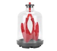 Zhjvihx Kit Scientifique éducatif D'anatomie Respiratoire Modèle Pulmonaire, Simulateur de Mouvement du Diaphragme avec Coques Transparentes pour l'enseignement Scientifique en Classe