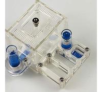 ZHL Nid Fourmis Insectes Naturels Fourmilière AntHouse Château Ferme D'élevage Boîte Formicarium avec Château d'eau Hydratant (Color : Transparent)