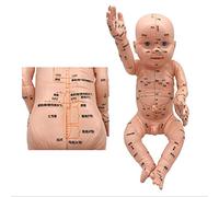 ZHONGJIUYUAN Acupoint and Trigger Point Mannequin Enfant Modèle 50,8 cm Étude de massage pour enfant
