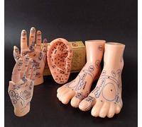 ZHONGJIUYUAN Appareil de massage de zone de réflexe, modèle non acupuncture, modèle de massage des pieds, des mains, des oreilles, langue chinoise, réflexologie des pieds
