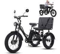 ZhouBSM Vélo électrique à 3 Roues De 24 Pouces pour Adultes Et Seniors, Tricycle des Neiges avec Ou sans Siège, 20 X 4 Pouces, écran LCD, Phare Et Cadre en Acier Au Carbone Black-B