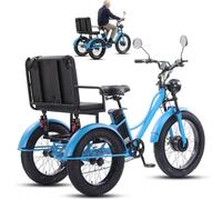 ZhouBSM Vélo électrique à 3 Roues De 24 Pouces pour Adultes Et Seniors, Tricycle des Neiges avec Ou sans Siège, 20 X 4 Pouces, écran LCD, Phare Et Cadre en Acier Au Carbone Green-B