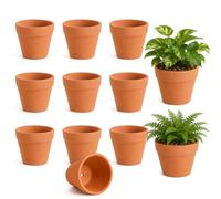 ZhouWei 10 Pièces Pot en Terre Cuite 10X8 cm des Trous Drainage au Fond | Pot Terre Cuite Comporte aux Projets de Bricolage, Pots de Fleurs pour Travaux Manuels Bureaux Intérieurs et Jardins