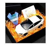 ZHRDWE Maquette Voiture Coffret Cadeau pour Tesla Model X Modèle 1:24 Voiture Moulée sous Pression Souvenir d'anniversaire Saint-Valentin Noël Copie Fidèle l'Origine(White)