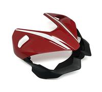ZHSBAG Finition de carénage d'admission de Nez de Phare de pièces de Moto pour Ducati Streetfighter V4/S 2020 2021(B)