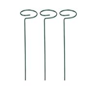 ZHSOAO 24pcs Plant Support Stakes pour Fleurs et Plantes Grimpantes | For les fleurs Tomates Lys Pivoine Rose Tige de fleur(11.8in)