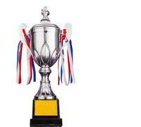 ZHSOAO Gold Silver Bronze Awards Trophy Sports Games Metal Model Small Prize Cup Champion Soccer Competition Winner Award pour Événements(Silver with Lid)