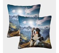 ZHUICHENG Bouvier Bernois Suisse Housse De Coussin Ensemble De 2 Décoratives Salon De Jardin Extérieur Lot De 2 Motif Imprimé Confort Et Douceur Garantis Décor De Maison 50x50cm