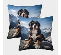 ZHUICHENG Bouvier Bernois Suisse Housse De Coussin Ensemble De 2 Taie d'oreiller Décoratif Canapé Confort Et Douceur Garantis Housses De Coussin avec Fermeture À Glissière 40x40cm