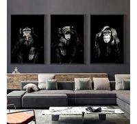 ZHUOYA Grandes affiches sur toile représentant des animaux, 3 singes amusants, pour la décoration du salon (60 x 80 x 3 cm, sans cadre).