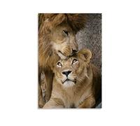 ZHUTOU Poster animal Lion et lionne sur toile - Décoration murale moderne pour chambre à coucher - 30 x 45 cm