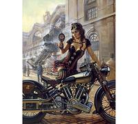 ZHXXFD Broderie Diamant Kit Complet Diamond Painting Full Strass Moto Stitch Enfant Grand Format 55x80 Peinture Diamant Adulte Strass Cristal Paysage Art Fille Garcon Cadeau(A115)