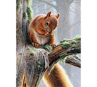 ZHXXFD Diamond Painting Animaux Enfant Grand Format 30X40 Broderie Diamant Kit Complet Strass Cross Stitch Écureuil Facile Diamond Art Pour Garcon Fille(K178)