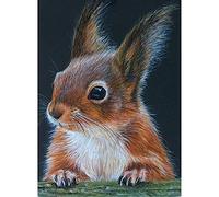 ZHXXFD Diamond Painting Animaux Enfant Grand Format 30X40 Broderie Diamant Kit Complet Strass Cross Stitch Écureuil Facile Diamond Art Pour Garcon Fille(K270)