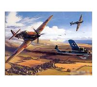 ZHXXFD Diamond Painting Strass Complet Paysage 30X40 Broderie Diamant Kit Complet Grand Format Avions D'Époque De La Seconde Guerre Mondiale Stitch Tableau 5D Peinture Diamant Adulte Kit (S42)