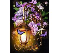 ZHXXFD Peinture par Numero Lanterne dans Un Lilas Peinture Adulte par Numero Paysage Peinture Numéro d'art Tableau A Peindre avec Numero DIY Paint By Numbers Kits Enfant Sans Cadre(A90)