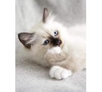 Chat de Birmanie - DIY 5D Diamond Painting Kits Cross Stitch Broderie Full Round Craft Art Gift 30x40cm