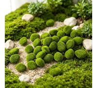 ZHZHXR Pierres en Mousse Artificielle, Coussin de Mousse Stabilisée Kit DIY Décoratif Vert Naturel pour Art du Jardinage Décoration Murale Fleuristerie Décoration Table