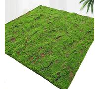 ZHZHXR Tapis en Mousse Artificielle Moquette Exterieur Mousse Artificielle Verte pour Maison, Jardin, Terrasse, Décoration DIY(C)
