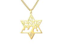 ZIAFRPN Arbre de Vie en hexagramme étoile Collier étoile étoile de David juif Collier Protection amulette Bijoux