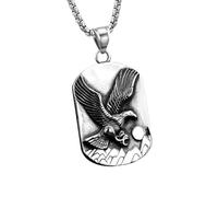 ZIAFRPN Collier Gothique Cool 316L Aigle Pendentif Collier Punk Charme Aigle Ailes Animal Pendentif mâle Mode Bijoux Cadeaux félicitations Cadeaux